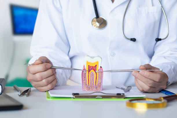 Best Pediatric Emergency Dentist in Bluffton, IN